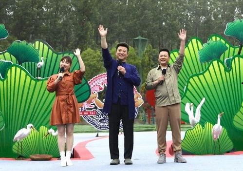 老汪爆料虎豹视频大全最新,老汪最新爆料，高清视频大全震撼来袭！